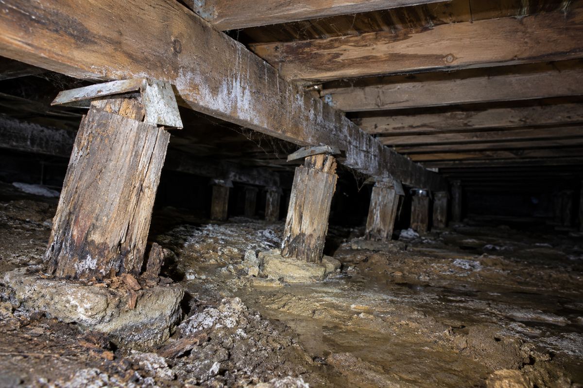 A torch-lit subfloor beneath a house in Mount Martha showing leaning timber stumps, one stump with a crushed top, sagging hardwood bearers and salt staining across the base of the brickwork.